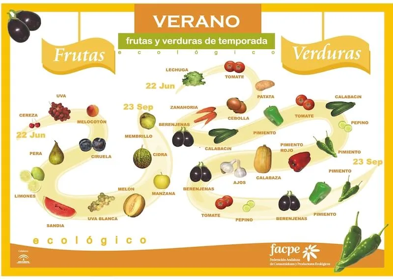 alimentos temporada verano