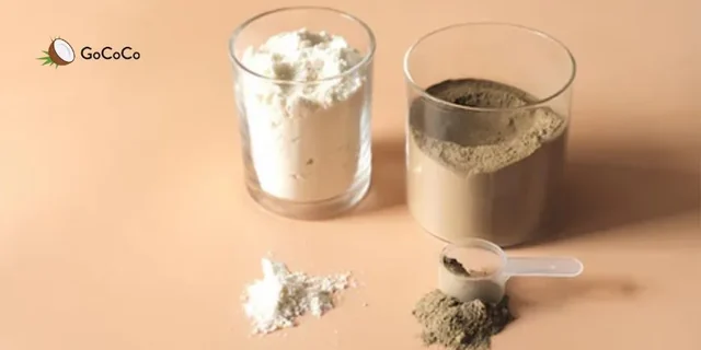 Best Protein Powder for Diabetics