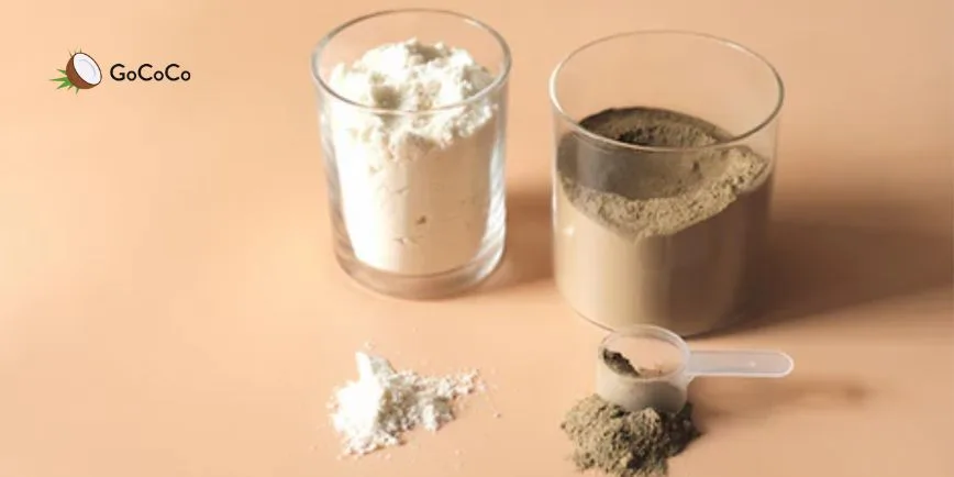 Best Protein Powder for Diabetics: Top picks for balanced nutrition