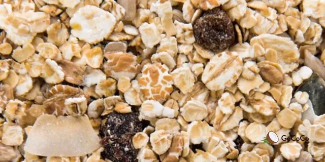 We took deep dive into the nutritional content of 500 breakfast cereal products