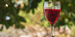 Is wine gluten free