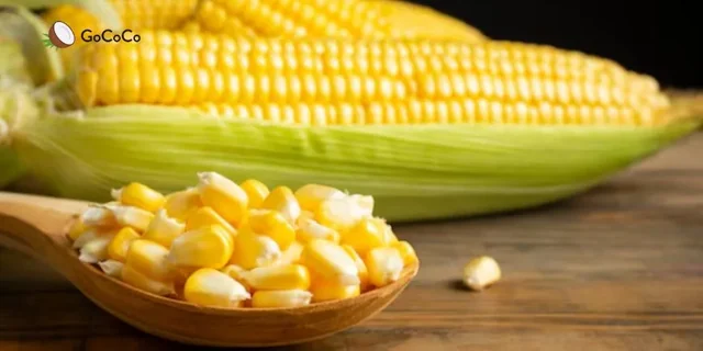 Can Diabetics Eat Corn