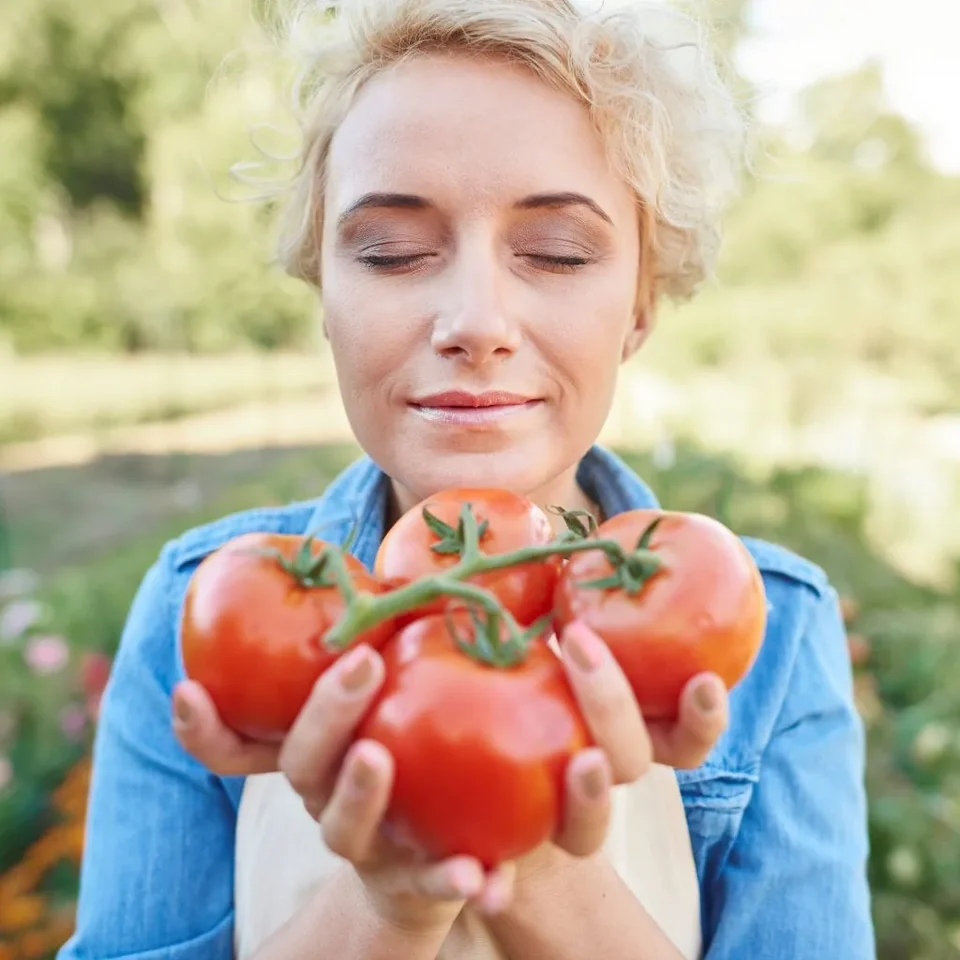 Woman picking up some tomatoes from her garden