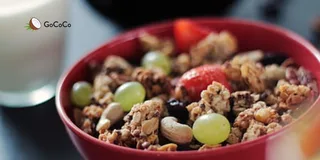 Dinosaur oatmeal