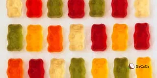 Sugar free gummy bears