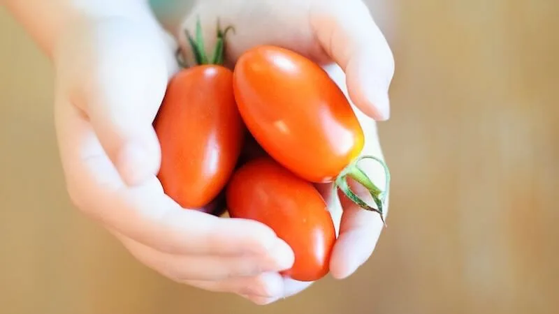 receta-de-ketchup-casero-sano