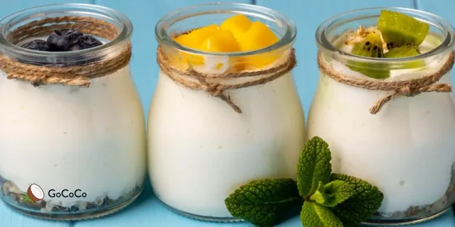 Is protein yogurt really good source of protein