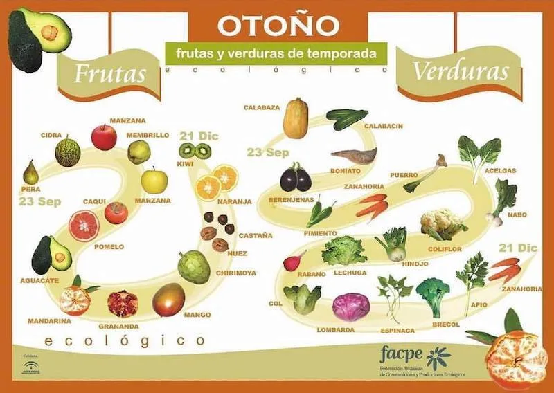 Productos-de-temporada-en-otoño